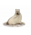WILD LIFE/AA Ours blanc assis - Cible 3D
