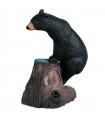 Cible 3D RINEHART HONEY BEAR
