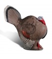 RINEHART Strutting Turkey - Cible 3D