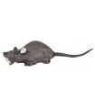 C.POINT Rat - Cible 3D