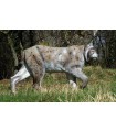 NATUR'FOAM Lynx - Cible 3D