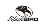 BlackBIRD